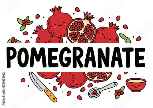 Stylized pomegranate fruit showing its seeds on a white background, vector illustration 