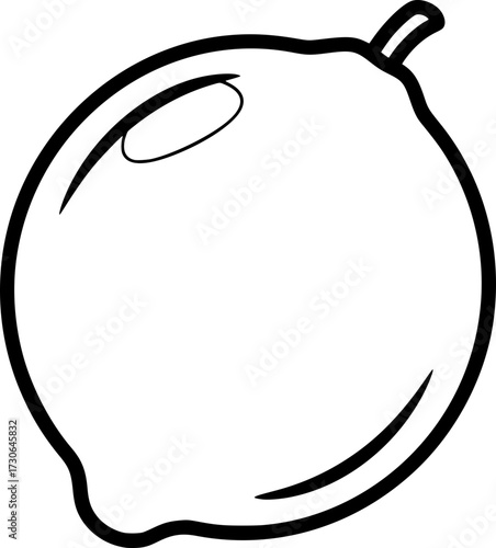 Pomelo Fruit Icon – Citrus Fruit Outline Illustration