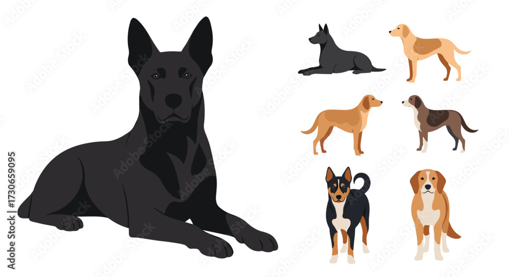 Obraz premium A collection of diverse dog breeds depicted in a variety of poses.