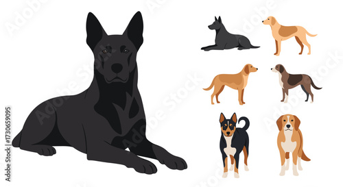 A collection of diverse dog breeds depicted in a variety of poses.