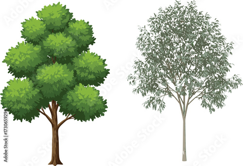 "Black and white tree vector set with dense and sparse foliage comparison for botanical, educational, and nature-themed design use"