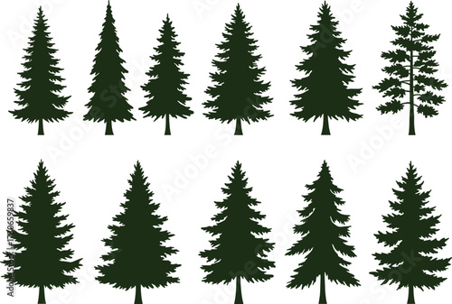 "Black conifer tree silhouette vector set with diverse pine shapes, branch patterns for forest, nature, and botanical design themes"