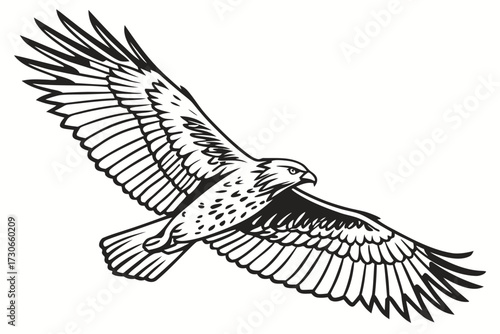 Vector illustration of a single hawk flying, minimal black outline, isolated on clean white background, cute concept