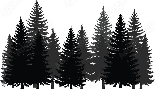 "Black pine tree silhouette vector cluster with layered forest depth, conifer shapes for nature, landscape, and outdoor design themes"
