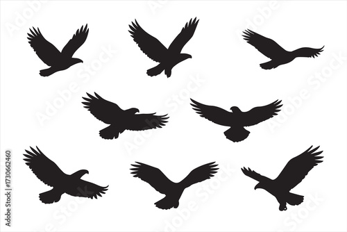 microstockSet of eagle silhouettes in flight with wings spread. Black raptor bird vector shapes isolated on white background. Perfect for wildlife, freedom, tattoo, logo, and graphic design elements.