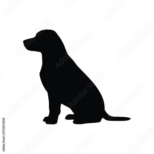 Black silhouette of a labrador retriever dog sitting patiently