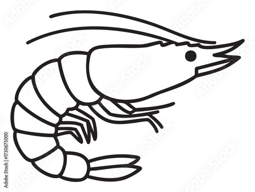 Black and white shrimp outline with detailed segments - stock vector