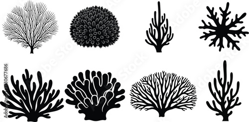 Coral Silhouette Vector Bundle, Ocean Seaweed and Underwater Flora Design Pack