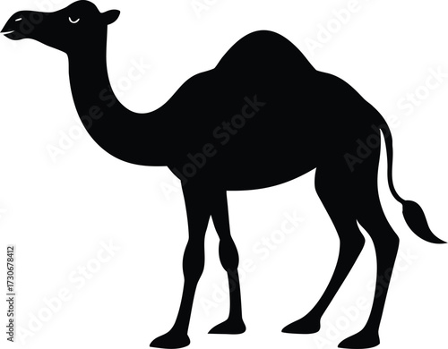 Camel Silhouette, Camel Vector Silhouette, Camel Outline Vector, Arabian Desert Animal Vector Symbol