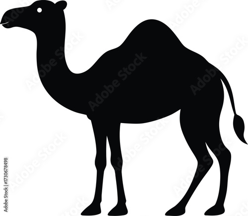 Camel Silhouette, Camel Vector Silhouette, Camel Outline Vector, Arabian Desert Animal Vector Symbol