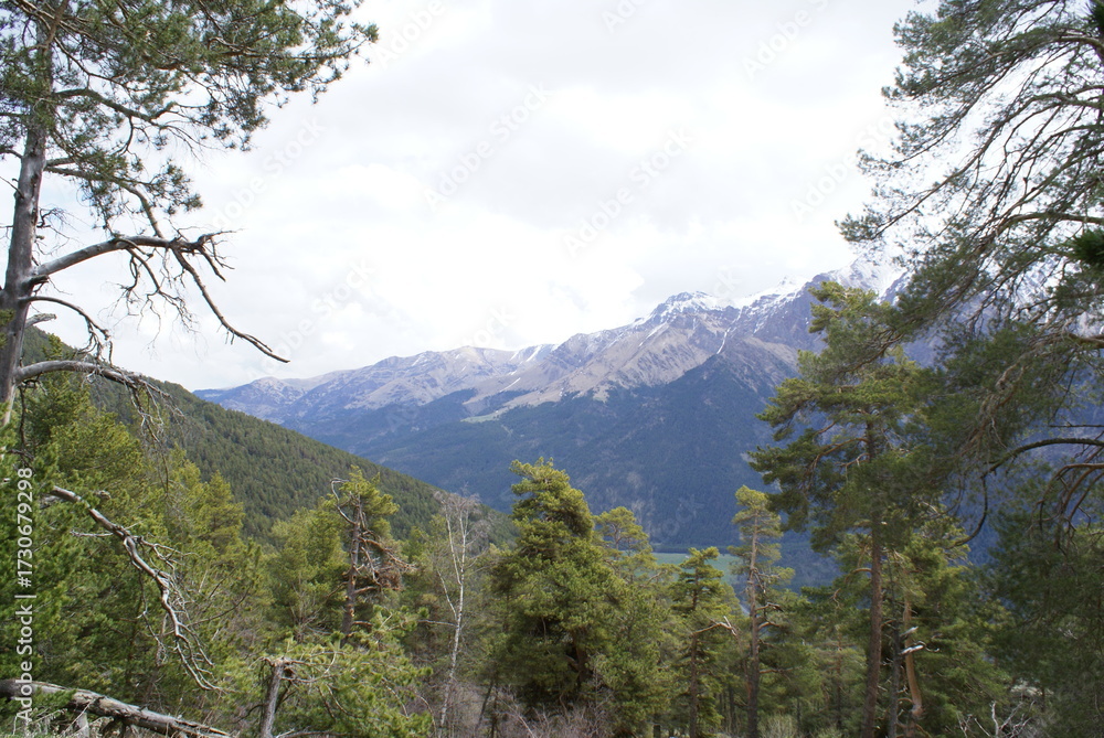 Obraz premium mountain landscape with trees