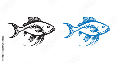 fish on a white background