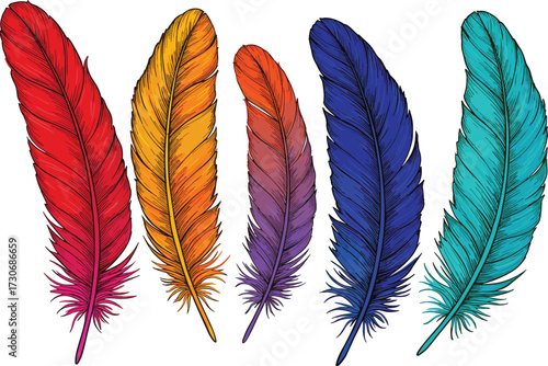 Vibrant Colorful Bird Feather Macro Close-up, Detailed Natural Exotic Rainbow Plumage Texture, Decorative Design Element Background, Beauty in Nature Image Concept.