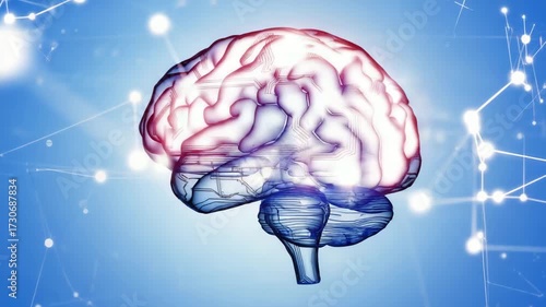 Illuminated Digital Brain with Neural Network Connections human mind