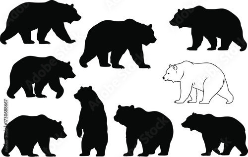 Bear Silhouette Vector Collection, Grizzly and Polar Bear Set, Walking, Standing, and Lying Wildlife Animals, Isolated Graphic Design Elements.