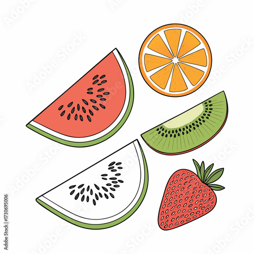 Various fruit slices illustration, healthy food