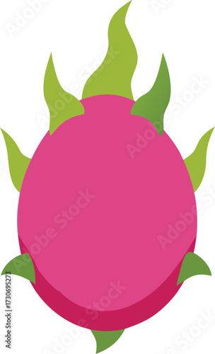 Stylized illustration of a dragon fruit, a tropical fruit with pink skin and white flesh, isolated on a white background