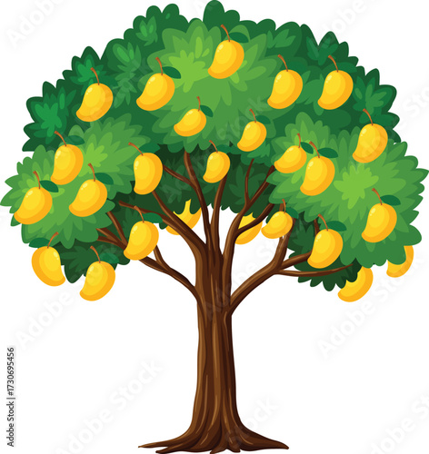 vector illustration of an mango tree