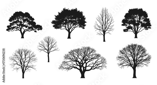 A collection of diverse tree silhouettes showcasing their unique branching patterns and foliage.