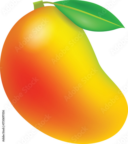 illustration of a ripe yellow, red mango