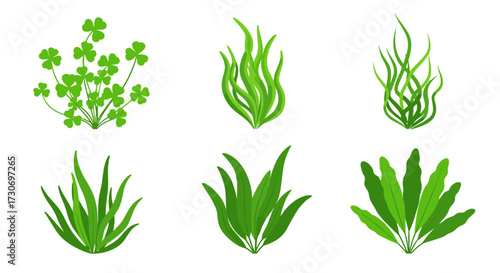 A collection of various green aquatic plants and aquatic foliage illustrations.
