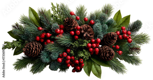 christmas tree branches with cones