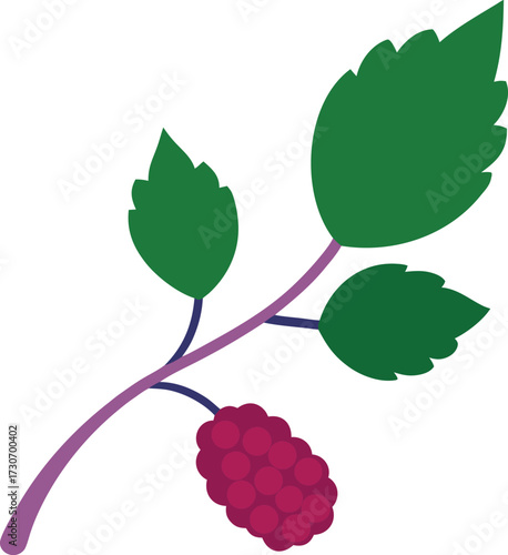 A single, ripe, dark red mulberry attached to a branch with three green leaves, isolated on white background