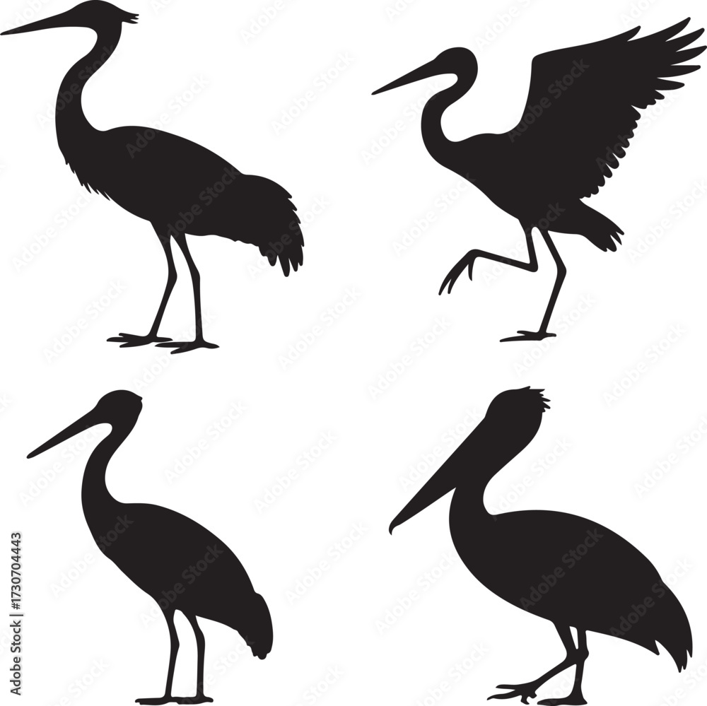 Fototapeta premium set of Crane, Heron, Stork, Pelican silhouette vector on white background