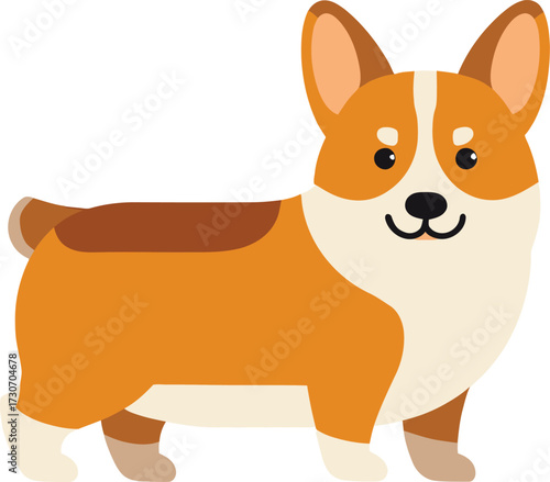 Cute cartoon a illustrator vector Corgi