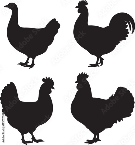 set of Goose, Chicken, Rooster, Turkey silhouette vector on white background