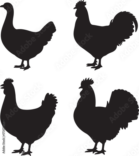 set of Goose, Chicken, Rooster, Turkey silhouette vector on white background