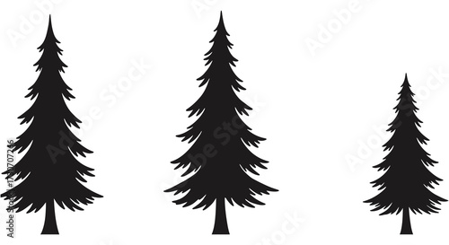 Three dark evergreen trees stand against a white background silhouette