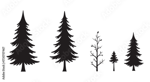 A dark silhouette of various evergreen and deciduous trees standing together