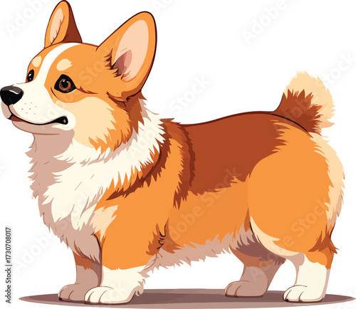 Cute cartoon a illustrator vector Corgi