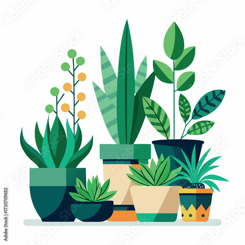 Create a colorful illustration of different potted indoor plants with various shapes, sizes, and leaves