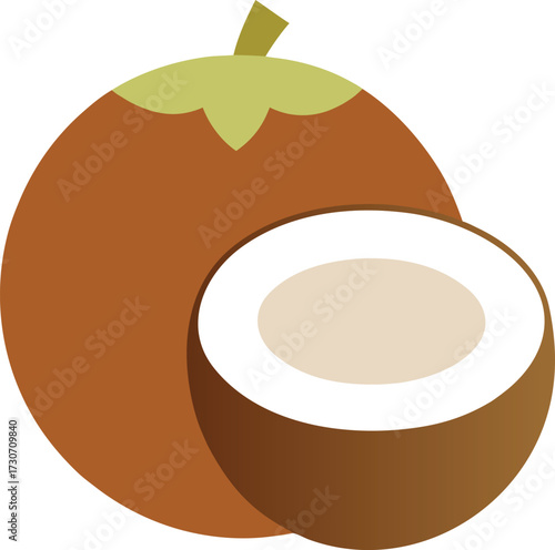 Whole and halved coconut isolated on white background