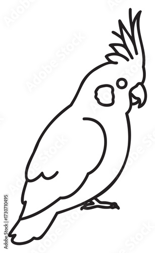 Cockatoo coloring page: outline of a standing cockatoo with crest - stock vector