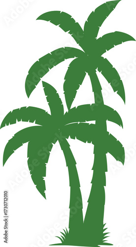 vector illustration of a palm tree