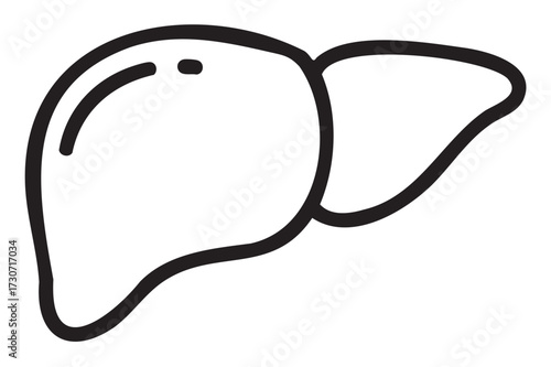 Simple liver line drawing - medical icon - stock vector