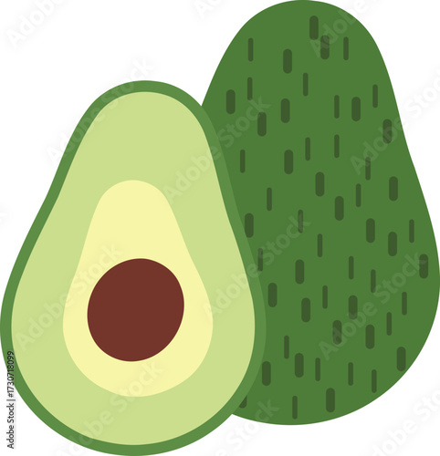 illustration of avocado fruit