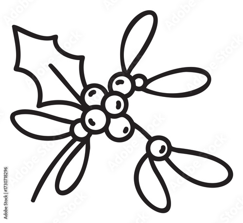 Black and white holly and mistletoe drawing for christmas design - stock vector