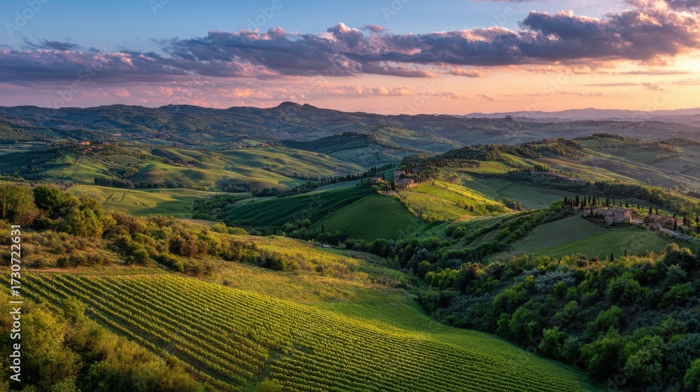 Fototapeta premium Rolling hills and lush vineyards stretch across the enchanting landscape of Tuscany as the sun sets. Colorful clouds illuminate the sky creating a peaceful scene of natural beauty.