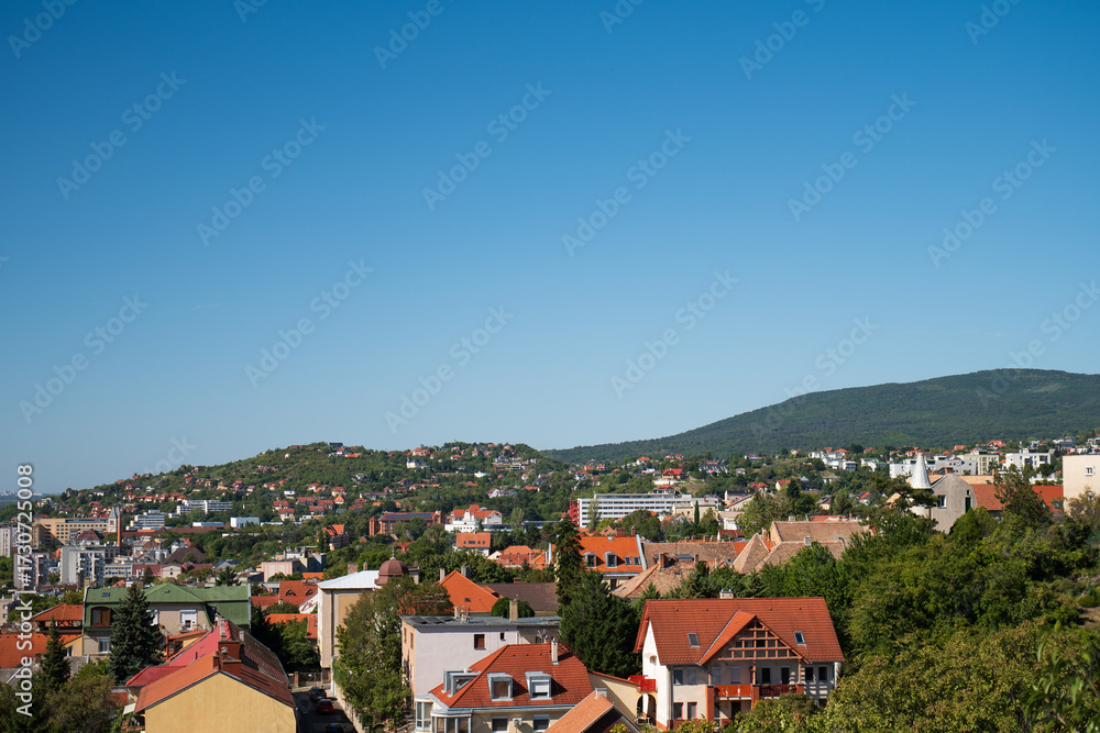 Obraz premium Panoramic view of suburban rooftops and green hills 