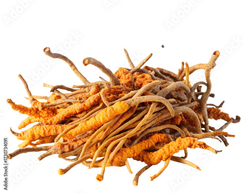 A pile of dried cordyceps mushrooms, also known as caterpillar fungus, isolated on a transparent background