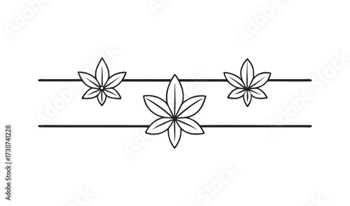 Decorative cannabis leaves divider isolated on white background