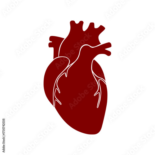 Red Human Heart Vector Illustration