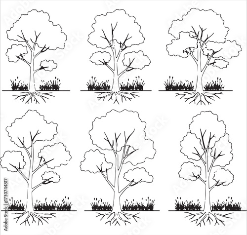 Architectural style minimal tree line drawing in CAD style, side view silhouette of wetland forest section. Clean vector line art illustration with separate elements, simple black and white outlines f