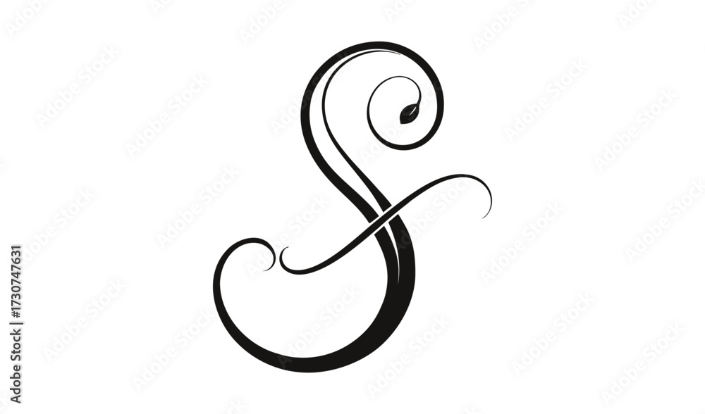 Obraz premium Elegant letter s isolated on white background vector image