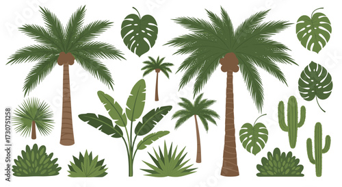 Collection of various tropical plants and trees in a flat design.