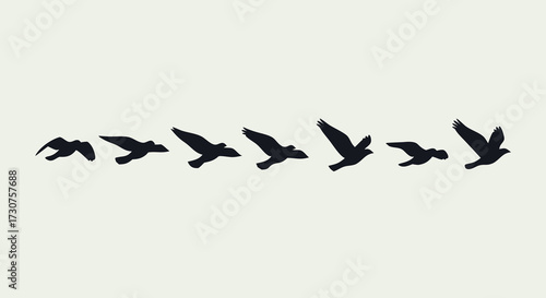A sequence of bird silhouettes in flight, illustrating the dynamic motion and grace of avian life against a plain background, capturing freedom and nature's beauty